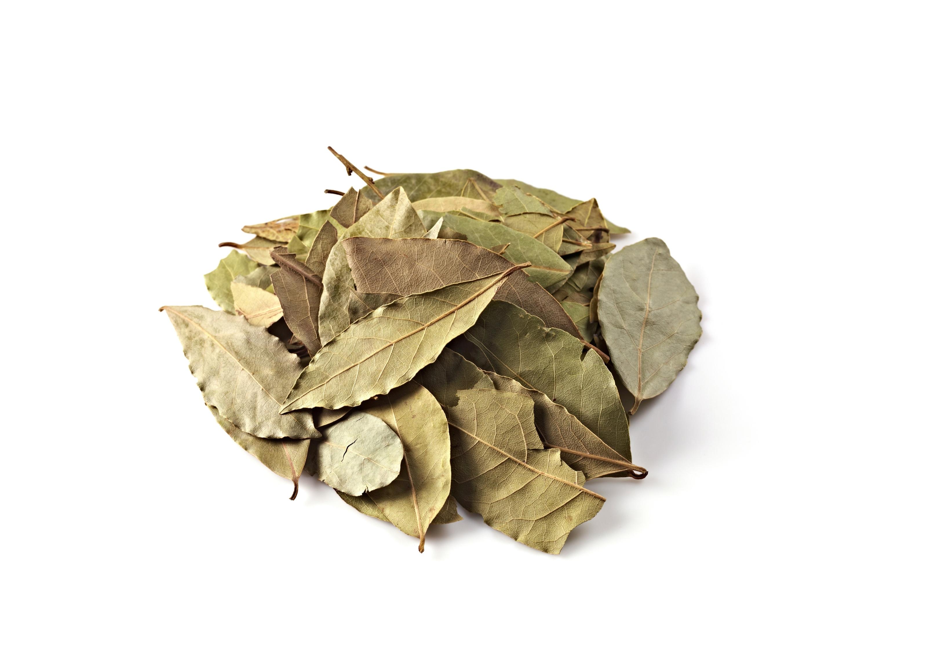 【スパイスALL360円 3点購入で送料無料】ベイリーフ10g【Bay leaf 10g】