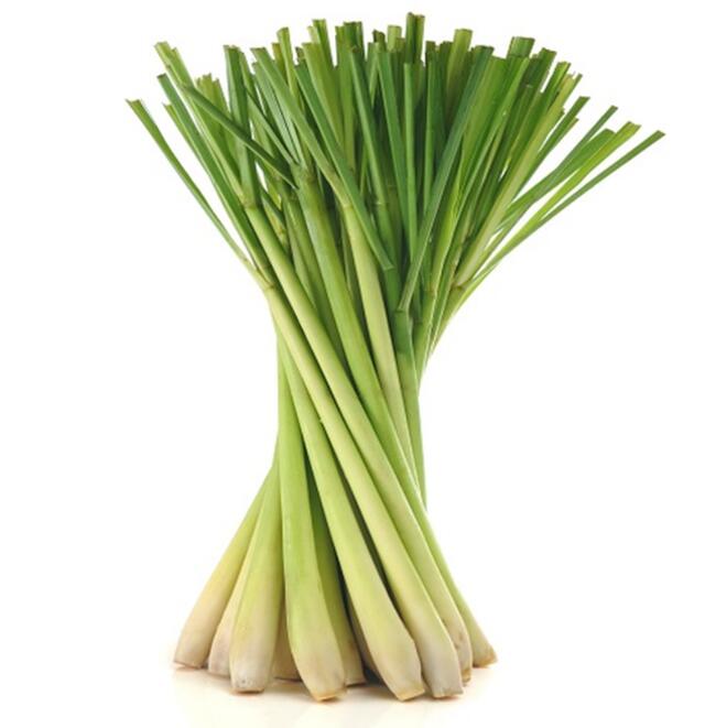 ڿ轵10ĸ١ѥ󥰥饹   ˥å ϡ ѥι꤬ڡFresh Lemongrass 150g Paprikaڹšȥॹסȥ९ʤɤ