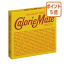 ★6月30日17時注文分よりポイント5倍★ # 大塚製薬 #カロリーメイト チョコレート味 2本×2袋 チヨコB