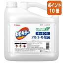 ★3月27日9時注文分よりポイント10倍★ジョンソン カビキラー　アルコール除菌キッチン用　業務用　5L 015012