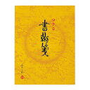 コクヨ 書翰箋 色紙判 100枚 縦罫15行 ヒ-51