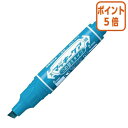 ★5月9日17時注文分よりポイント5倍★ ゼブラ ハイマッキーケア つめ替えタイプ インク色:ライトブルー 細字・太字両用 YYT5-LB