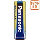 ★8月25日17時注文分よりポイント5倍★ Panasonic アルカリ乾電池EVOLTA業務用パック 単3形 40本入 LR6EJN/40S