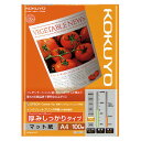 【最大3500円OFFクーポン配布中】鮮明画像の、インクジェットDVD/CDラベル つやなしマット 内径17mm 100ラベル LB-CDR012N-100 サンワサプライ【ネコポス対応】