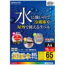 コクヨ カラーLBP用　超耐水紙ラベル　A4　15枚入　65面カット LBP-WS6965 その1