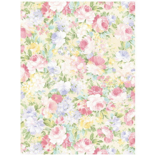 ササガワ 包装紙 楽園 半才判 50枚袋入 49-1507