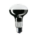 Panasonic レフ電球 60W形 口金E26 RF100V54WD
