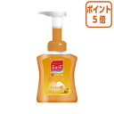 ★3月18日17時注文分よりポイント5倍★ レキットベンキーザー ミューズ 泡ハンドソープ フルーティフレッシュ 本体 250ml 801057(4)