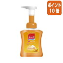 ★5月9日17時注文分よりポイント10倍★ レキットベンキーザー ミューズ 泡ハンドソープ フルーティフレッシュ 本体 250ml 801057(4)