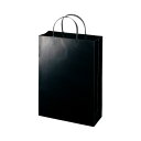エヒメ紙工 ラミネートバッグ A4 ブラック 10枚 LBA4-BL