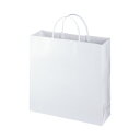 エヒメ紙工 ラミネートバッグ 小 ホワイト 10枚 W325×H315×D100mm LBS-WH