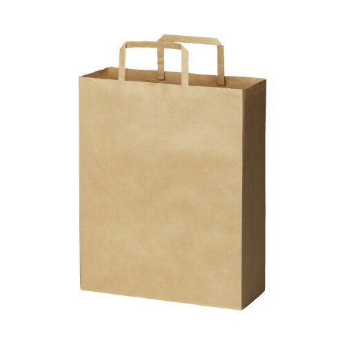 カウネット 平紐手提げ袋　薄口　茶 未晒 　S　50枚 4255-2703