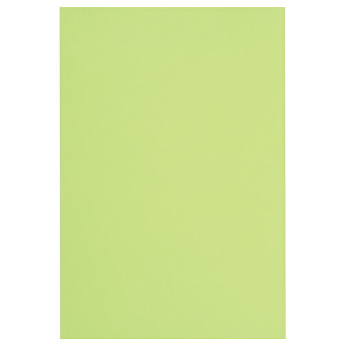 カウネット 色画用紙　八つ切　若草　30枚 4212-9851