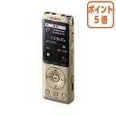 ★6月30日17時注文分よりポイント5倍★ SONY ステレオICレコーダー UX570FN ゴールド ICD-UX570FN