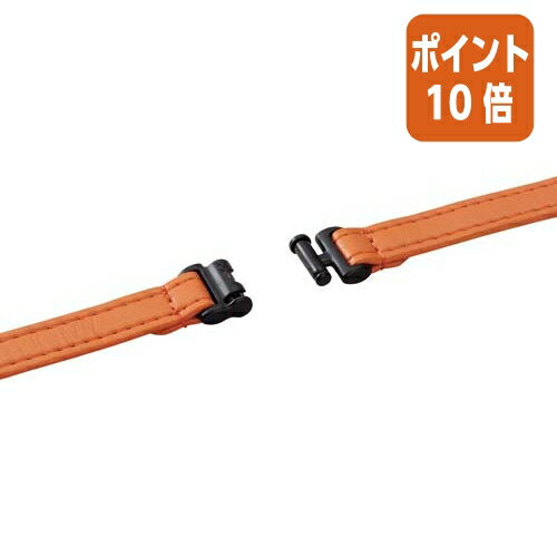★5月9日17時注文分よりポイント10倍★ネームホルダー レイメイ藤井 IDホルダー　2ポケット　オレンジ GLP155D