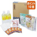 ★5月9日17時注文分よりポイント10倍★キングジム 災害対策セット 災害備蓄セット2 セット内容 5点 BCS-200(3)