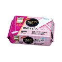 大王製紙エリエール キレキラ!ワイパー ドライ 20枚733635