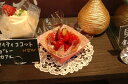 カラーココット(1セット50枚入り)