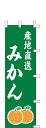 のぼり旗 みかん1 W45×H150cm 金巾