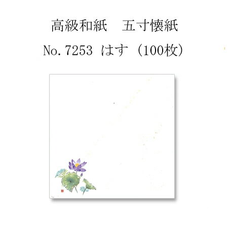 ڥͥݥоݾʡ۹»桡 No.7253 Ϥ (100)