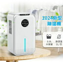 ペルチェ式 タイマー付き 静音 除湿乾燥機 節電 省エネ 部屋干し 除湿量1L/日 湿気取り マイナスイオン機能 大容量2.5L
