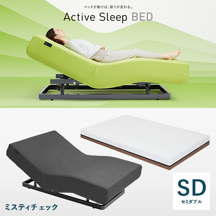 パラマウントベッド 電動ベッド アクティブスリープベッド activesleep （RA-2670) アクティブスリープマットレス セット セミダブル ミスティチェック 腰痛 リクライニングベッド リクライニング 目覚まし iot