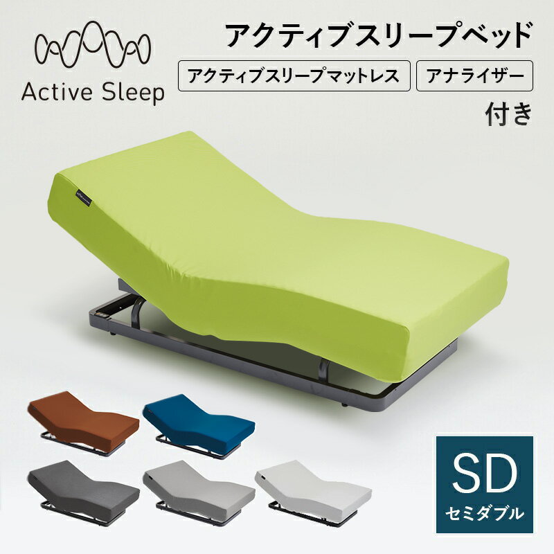 20%OFFクーポン対象 売り切りセール(マットレス除く) パラマウントベッド(旧モデル) Active Sleep 電動ベッド アクテ…