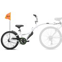 Online ONLY(海外取寄)/ 補助自転車 ポタリング 20インチ ケント