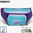 CO[ N[[obO t@j[pbN g p[v EGXg|[` {fBobO 3 Igloo Retro Fanny Pack