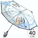 【訳あり】子ども傘 傘 キッズ 子供用 40cm ディズニー ブルーイ カサ Disney BLUEY