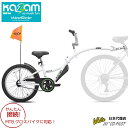 Online ONLY(海外取寄)/ 補助自転車 ポタリング 20インチ ケント