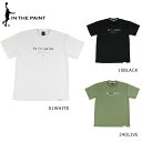 【メール便OK】ナチュラル アースカラー Tシャツ バスケ メンズ 半袖Tシャツ トップス IN THE PAINT(インザペイント) ITP25421