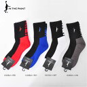 y[OKzIN THE PAINT(CUyCg) ITP860B ITP PANEL SOCKS oXPbg\bNX V[g\bNX 萶n