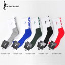 【メール便OK】IN THE PAINT(インザペイント) ITP860W ITP PANEL SOCKS バスケットソックス ショートソックス 厚手生地