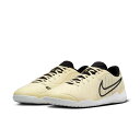 NIKE(iCL) DV4341 WFh 10 ChAV[Y tbgTV[Y