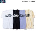 【メール便OK】LEGIT(レジット) 2401-1004 メンズ バスケットシャツ PERTH LINE ドライアップTシャツ 速乾