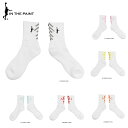 y[OKzIN THE PAINT(CUyCg) ITP24342 BACK PANEL SOCKS oXPbg\bNX oXP\bNX