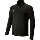 PUMA(プーマ) 659125 メンズ サッカーWUPニットジャケット teamFINAL トレーニング ジャケット