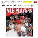 Rawlings(ローリングス) ORDER_GHMSOGPR 受注生産 硬式オーダーグラブ MLBプレイヤーズ KIPレザー