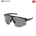 Rawlings(ローリングス) REW25-02SM-HS 偏光一眼サングラス 高校野球対応 野球 ベースボール キズ防止加工(4)