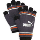 【メール便OK】PUMA(プーマ) 041801 ユニセックス マルチスポーツ手袋 ツーレイヤード マジックグローブ