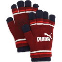 【メール便OK】PUMA(プーマ) 041801 ユニセックス マルチスポーツ手袋 ツーレイヤード マジックグローブ
