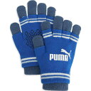 【メール便OK】PUMA(プーマ) 041801 ユニセックス マルチスポーツ手袋 ツーレイヤード マジックグローブ