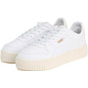 PUMA(プーマ) 400273 レディース マルチスポーツシューズ キャリーナ ストリート WR (ハッスイ)