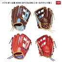 Rawlings(ローリングス) GS4FHDS65 ソフトボールグローブ HOH DP COLORS S65 オールラウンド