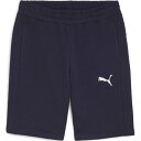 PUMA(プーマ) 65939206 メンズ サッカートレーニングウェア teamGOAL カジュアル ショーツ