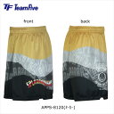 【メール便OK】メンズ 昇華プラクティスパンツ バスケットボール プラパン 練習用 Team Five(チームファイブ) APPS-8120