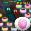 暗闇で光る☆ Nintendo Switch/Lite 対応 