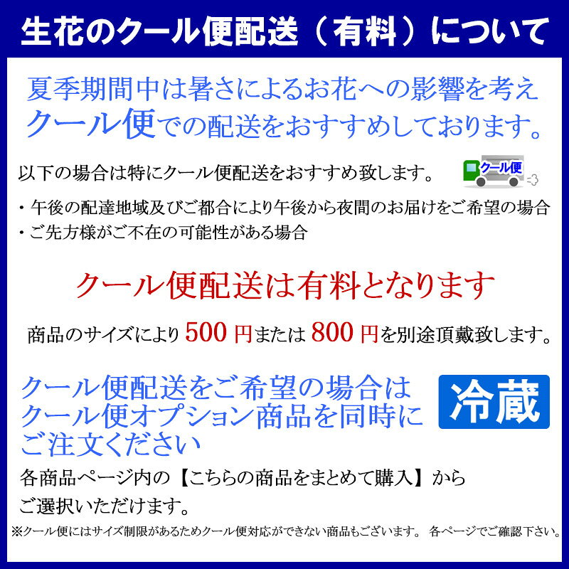 最短 翌日配達 営業日14時〆 花 アレンジメント 生花 フラワーアレンジメント コン...