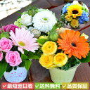 生花おまかせアレンジメントSS【花 誕生日プレゼント ギフト 出産祝い 結婚祝い 誕生日ギフト 生花 アレンジメント プレゼント 花ギフト ひまわり おしゃれ ...